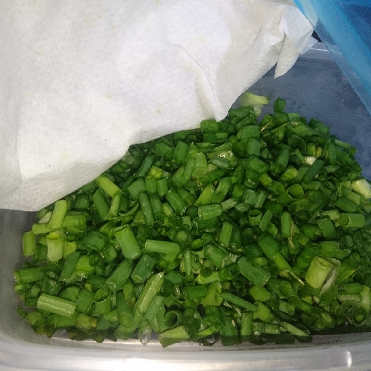 小ネギ わけぎ 万能ねぎの冷蔵保存 レシピ 作り方 By Butterfly 楽天レシピ 小ネギ わけぎ 万能ねぎの冷蔵保存 レシピ 作り方 By Butterfly 楽天レシピ